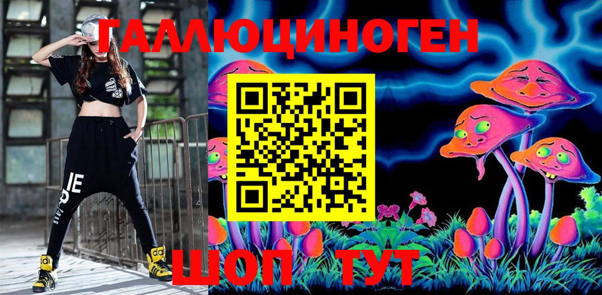 Псилоцибиновые грибы Psilocybe Луховицы