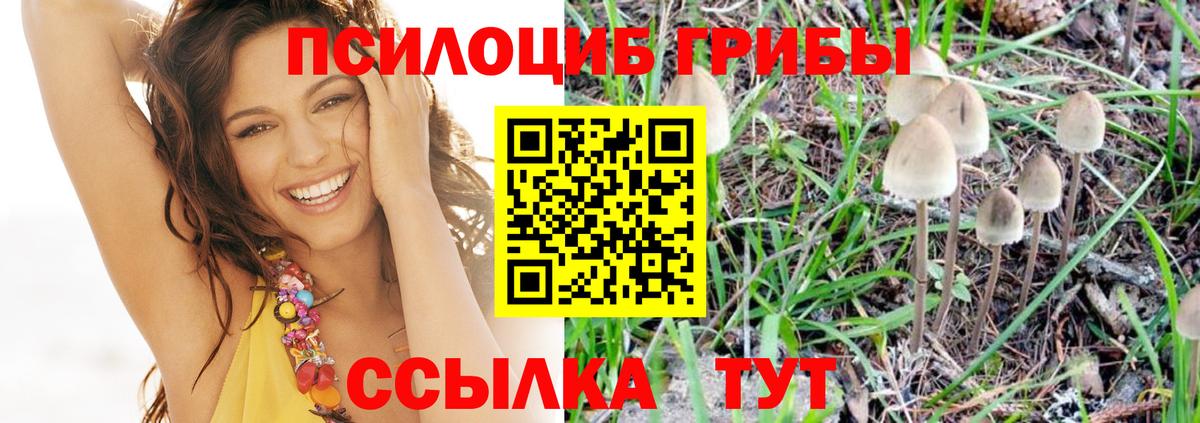 Псилоцибиновые грибы ЛСД  Вход с VPN  Луховицы  Псилоцибиновые грибы мицелий 